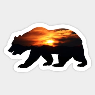 Sun Back Grizzly Sticker